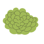 Icon von einem grünem Gras darauf (Made by Fragneel)