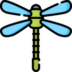 Libelle Icons erstellt von Freepik - Flaticon