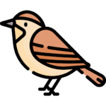 Vogel Icons erstellt von Freepik - Flaticon